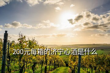 200元每箱的濟寧心酒是什么