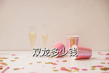 雙龍多少錢