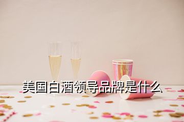 美國白酒領導品牌是什么