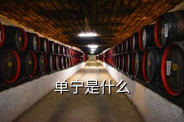 單寧是什么