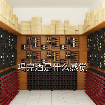 喝完酒是什么感覺(jué)