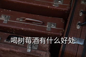 喝樹(shù)莓酒有什么好處