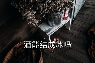 酒能結成冰嗎