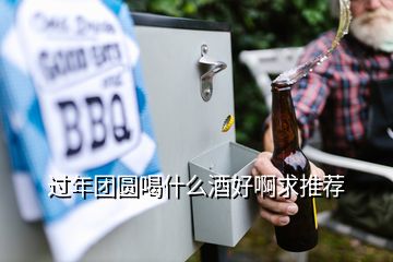 過(guò)年團(tuán)圓喝什么酒好啊求推薦