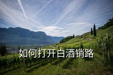 如何打開(kāi)白酒銷(xiāo)路