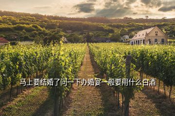 馬上要結婚了問一下辦婚宴一般要用什么白酒