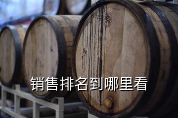 銷(xiāo)售排名到哪里看