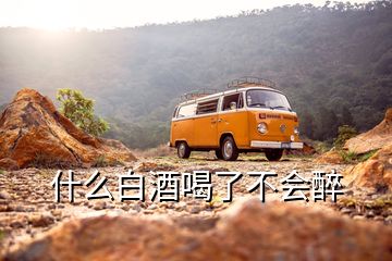 什么白酒喝了不會(huì)醉