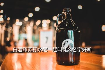 白酒和蘇打水配一起叫什么名字好聽