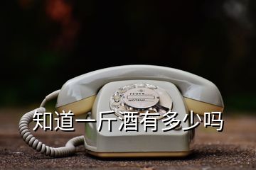 知道一斤酒有多少嗎