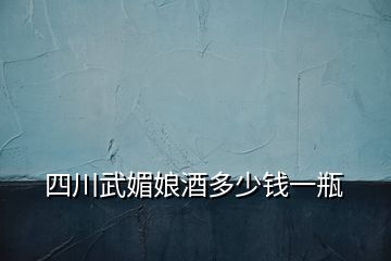 四川武媚娘酒多少錢(qián)一瓶