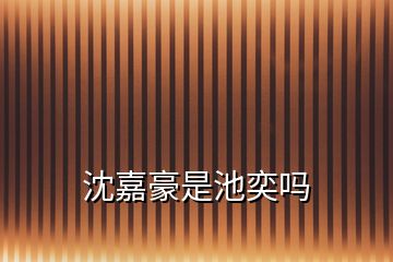 沈嘉豪是池奕嗎