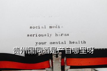 貴州國(guó)同酒是產(chǎn)自哪里呀