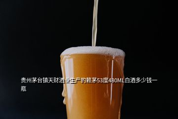貴州茅臺鎮(zhèn)天財(cái)酒業(yè)生產(chǎn)的賴茅53度480ML白酒多少錢一瓶