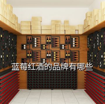 藍莓紅酒的品牌有哪些