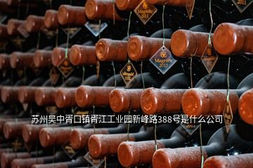 蘇州吳中胥口鎮(zhèn)胥江工業(yè)園新峰路388號是什么公司