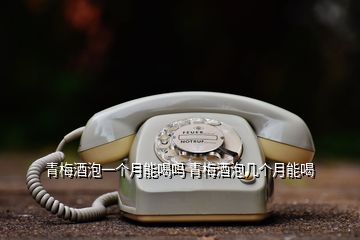 青梅酒泡一個(gè)月能喝嗎 青梅酒泡幾個(gè)月能喝