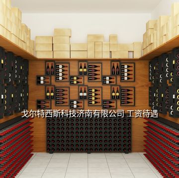 戈爾特西斯科技濟(jì)南有限公司 工資待遇