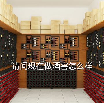 請(qǐng)問(wèn)現(xiàn)在做酒窖怎么樣