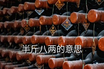 半斤八兩的意思