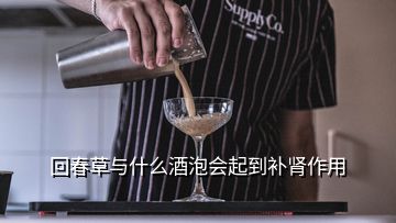 回春草與什么酒泡會起到補(bǔ)腎作用