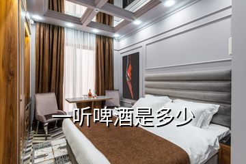 一聽(tīng)啤酒是多少