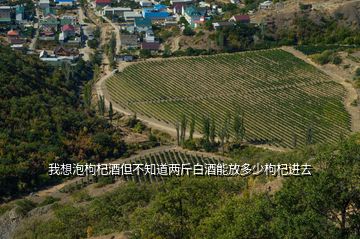 我想泡枸杞酒但不知道兩斤白酒能放多少枸杞進(jìn)去