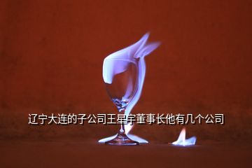 遼寧大連的子公司王星宇董事長他有幾個(gè)公司