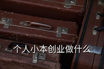 個人小本創(chuàng)業(yè)做什么