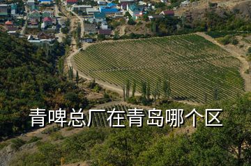 青啤總廠(chǎng)在青島哪個(gè)區(qū)