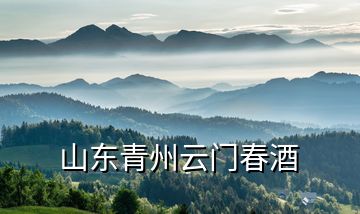 山東青州云門(mén)春酒