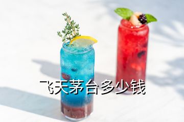 飛天茅臺(tái)多少錢