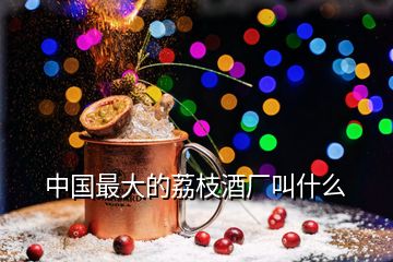 中國最大的荔枝酒廠叫什么