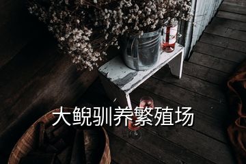 大鯢馴養(yǎng)繁殖場(chǎng)