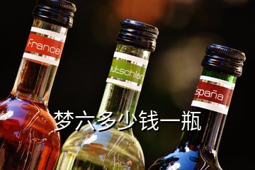 夢(mèng)六多少錢(qián)一瓶