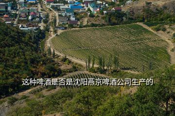 這種啤酒是否是沈陽(yáng)燕京啤酒公司生產(chǎn)的