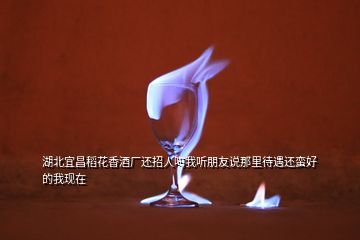 湖北宜昌稻花香酒廠還招人嗎我聽(tīng)朋友說(shuō)那里待遇還蠻好的我現(xiàn)在