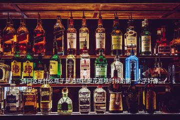 請(qǐng)問(wèn)這是什么瓶子是酒瓶還是花瓶啥時(shí)候的第一個(gè)字好像是漢