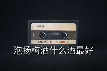 泡揚(yáng)梅酒什么酒最好