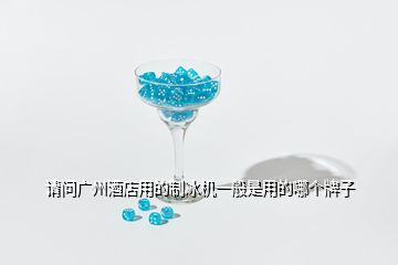 請問廣州酒店用的制冰機(jī)一般是用的哪個牌子