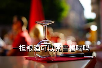 一擔糧酒可以兌雪碧喝嗎