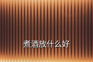 煮酒放什么好