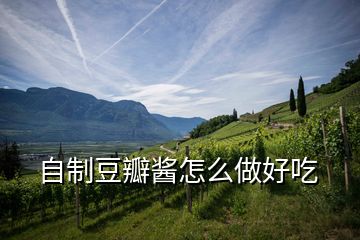 自制豆瓣醬怎么做好吃