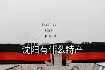 沈陽(yáng)有什么特產(chǎn)