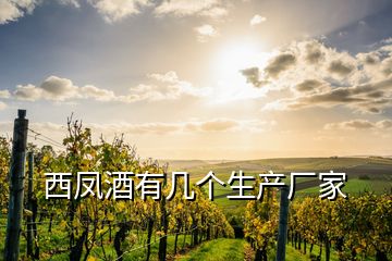 西鳳酒有幾個生產廠家