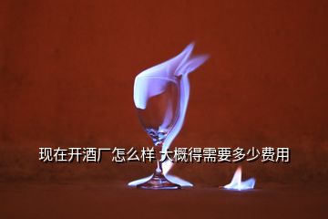 現(xiàn)在開(kāi)酒廠怎么樣 大概得需要多少費(fèi)用