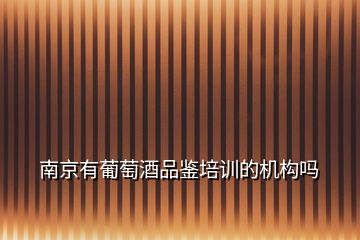 南京有葡萄酒品鑒培訓的機構嗎