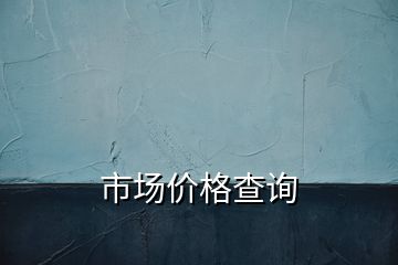 市場(chǎng)價(jià)格查詢(xún)
