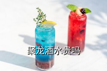 聚龍酒水貴嗎