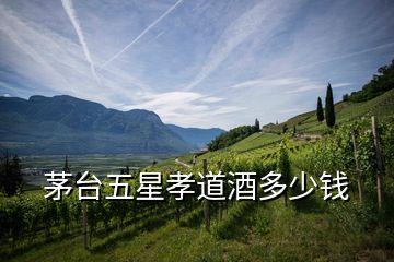 茅臺五星孝道酒多少錢